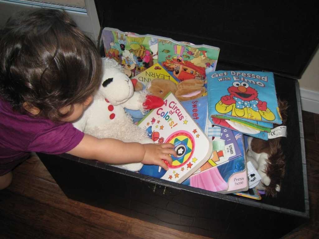 baby_toys_trunk_storage