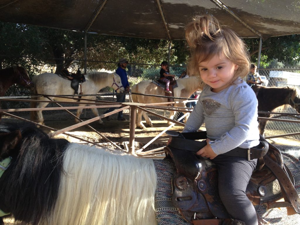 Who says 1 year olds can't ride a pony?