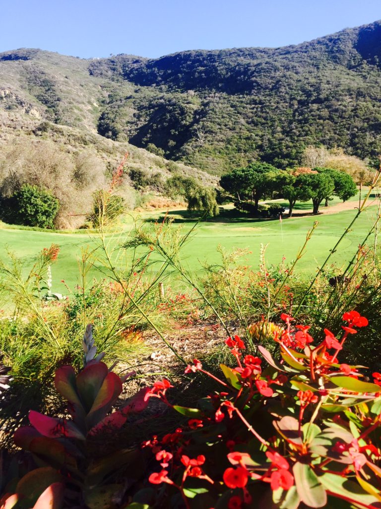 the-ranch-laguna-beach-outdoor-flowers-canyon