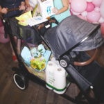 austlen-stroller-Entourage-fab-mom-edited